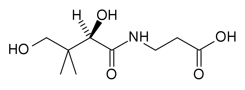 Image:Pantothenic acid structure.svg
