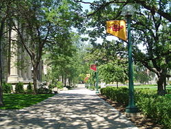 A summertime view of the University of Minnesota, Twin Cities campus.