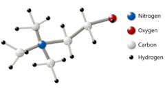 Choline (C5H14NO+)