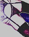 Digitally altered erotic photograph