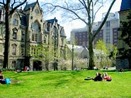 Collegegreen.jpg