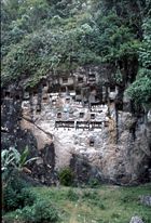 A Torajan tomb in a high rocky cliff.