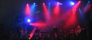 Echo and the Bunnymen in 2005