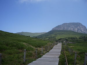 A hiking trail on Hallasan.