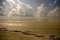 Sundarbans, Bangladesh.