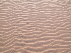 Patterns in sand