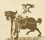 Illustration for De arte venandi‎