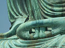 Hands of Amitābha statue at Kotokuin