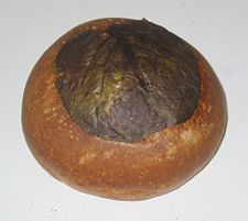 Cabbage loaf
