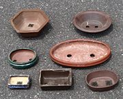Assorted bonsai pots