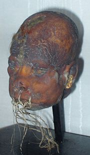 Shrunken head exhibited at the Lightner Museum in St. Augustine, Florida