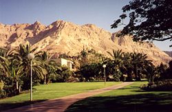 Kibbutz Ein Gedi, near the Dead Sea, was founded by the Nahal in 1953.