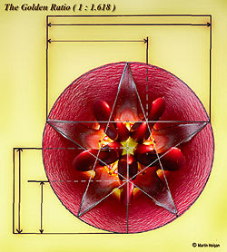 An illustration of the Golden ratio, specifically applied to a pentagram.