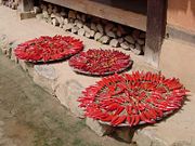 Chili peppers being sun-dried for Kimchi