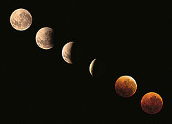 The progression of a lunar eclipse. Totality is shown with the last two images to lower right. These required a longer exposure time to make the details visible.