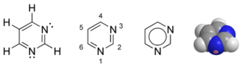 Various representations of a molecule of pyrimidine. The hexagonal ring is composed of four carbon atoms (at the four unmarked corners) and two nitrogen (N) atoms.