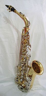 An alto saxophone