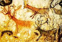 Group of ochre stags