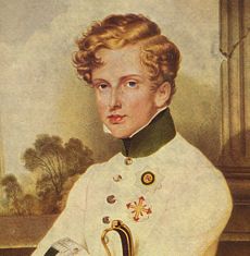 Napoleon II, or Franz, as the Duke of Reichstadt.