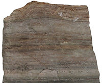 A sample of quartzite, a form of metamorphic rock, from the collection at the Museum of Geology, University of Tartu.