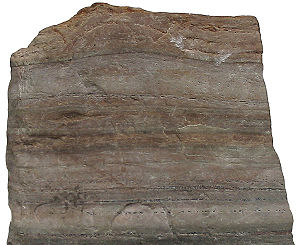 Quartzite, a form of metamorphic rock, from the collection at the Museum of Geology, University of Tartu.