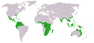 World distribution of Cycadales.
