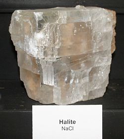 Large natural crystal of Halite, showing cubic cleavage breaks.