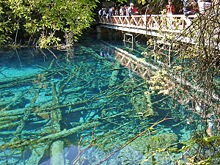 Five Flower Lake