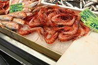 Shellfish