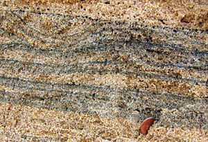 Heavy minerals (dark) deposited in quartz beach sand in Chennai, India.