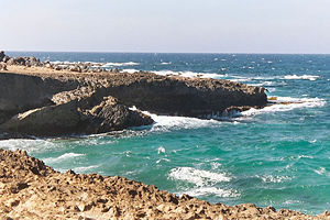 The Aruba shoreline, 2004.