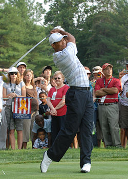 Tiger Woods, considered the world's best contemporary golfer