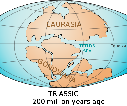 Image:Laurasia-Gondwana.svg