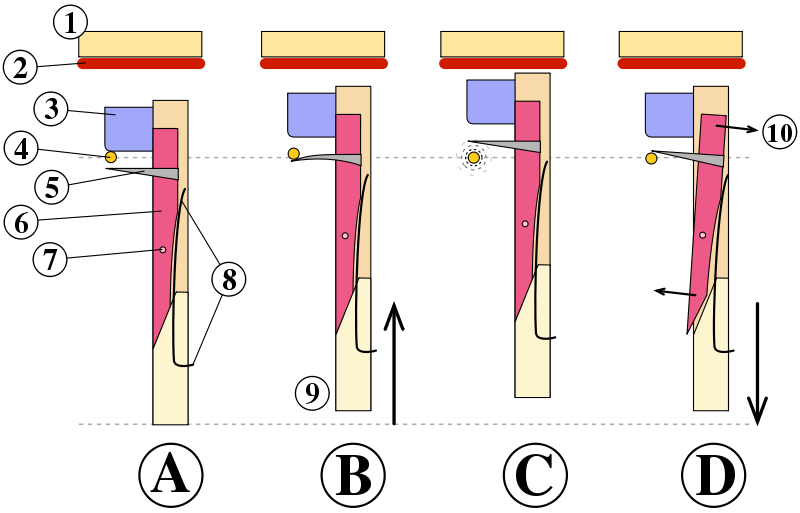 Image:Clavecin sautereau fonctionnement.svg