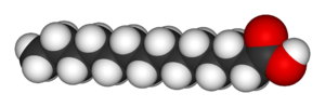 A three-dimensional representation of the saturated fatty acid myristic acid