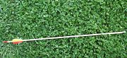 Modern arrow with plastic fletchings and nock.