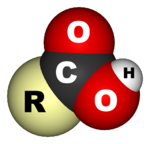 A space-filling model of a carboxylic acid.