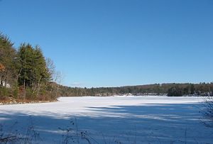 Walden Pond in winter