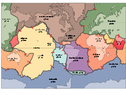The tectonic plates underlying the continents and oceans