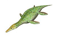 Peloneustes philarchus
