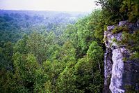 A section of escarpment cliff, seen from the Bruce Trail in Ontario