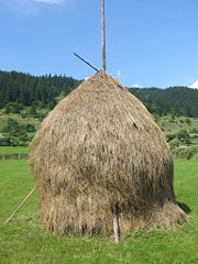 Stacked hay in Romania.