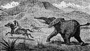 Explorer and large game hunter Samuel Baker chased by an elephant.