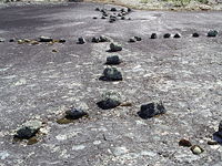 Petroform formation