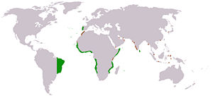Map of the Portuguese Empire during the reign of John III of Portugal (1502–1557)