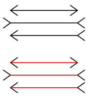 Distoring illusion: Müller-Lyer illusion. The three horizontal lines have the same length.