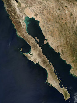 Satellite view of Baja California peninsula.