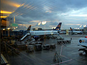 A view of the Frankfurt Airport terminal showing jetways and luggage carts.