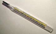 A common mercury thermometer.