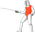 Valid target at foil (the torso).